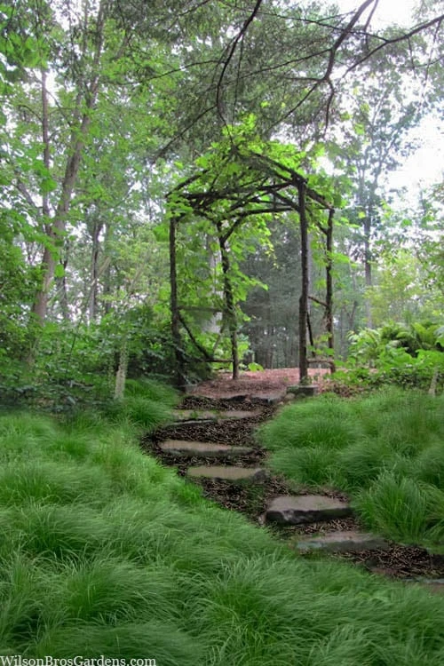 Pennsylvania Sedge (Carex Pennsylvanica) - 8 Pack 1 Gallon Pot 1 Pennsylvania Sedge (Carex Pennsylvanica) - 8 Pack 1 Gallon Pot