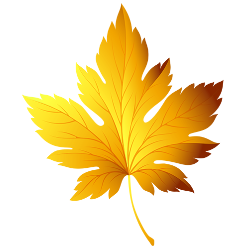 Garden Wisp Sales Store